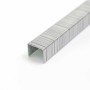 2 (49)