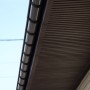 IMG_0099_2