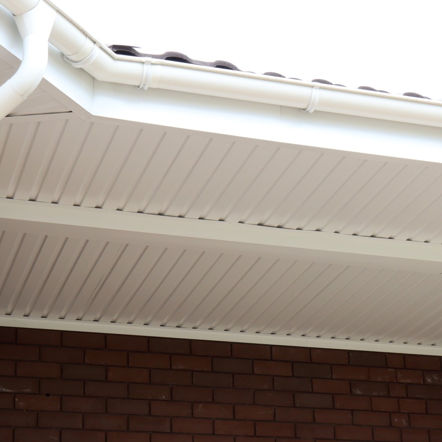 IMG_2241_1